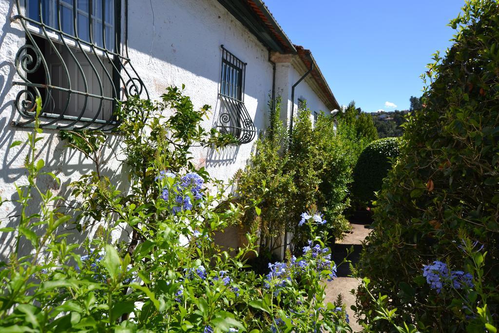 Casa Do Campo - Turismo De Habitacao Panzió Celorico De Basto Kültér fotó